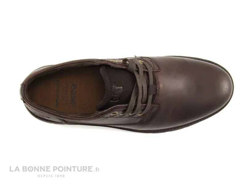 Achat chaussures Caterpillar Homme Ville / Travail, vente CAT WRY Coffee Bean P721808 - Chaussure basse