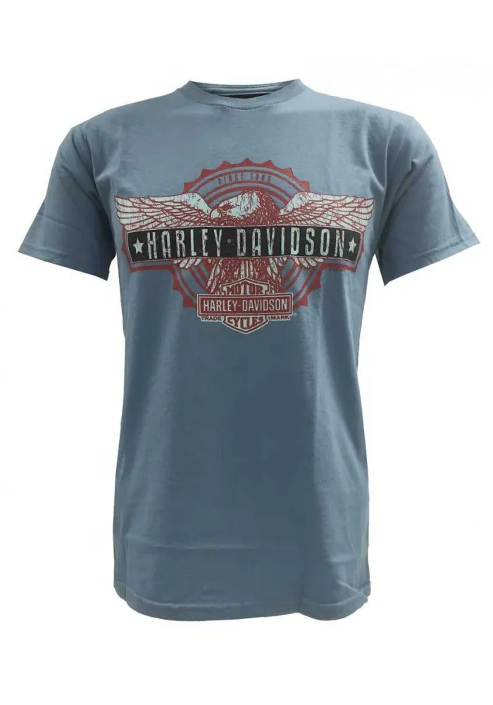 Harley Davidson Homme T-Shirt Manches Courtes, Patriotic Eagle Bar Graphic, Bleu