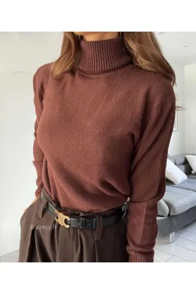 Pull col roulé marron manches longues