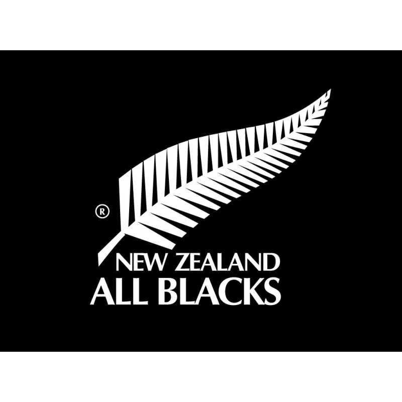 T-shirt  Graphic All Blacks 2021 / adidas